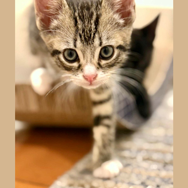 Photo of Ziggy And Mars