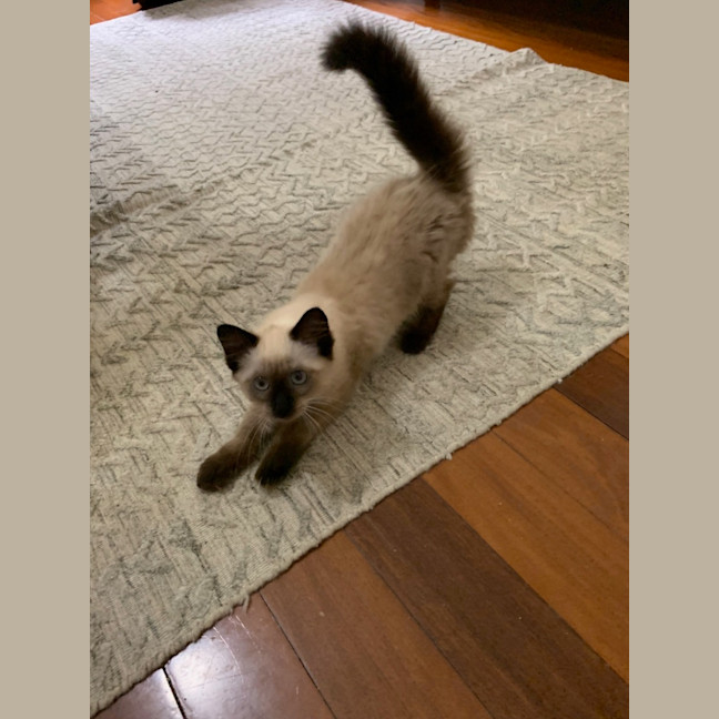 Photo of Jemima