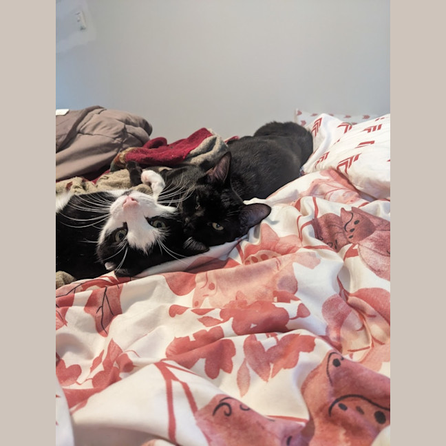 Photo of Lucky And Sosage