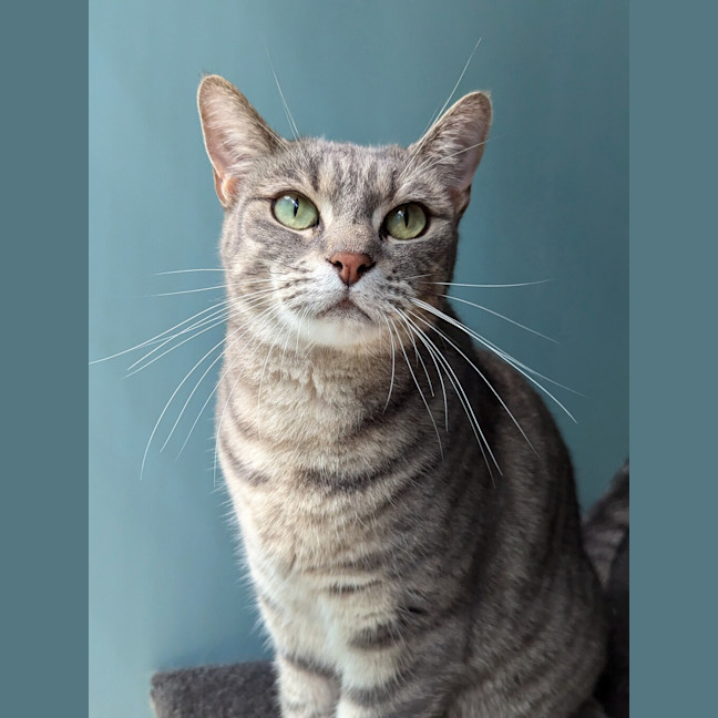 Photo of Mirabel