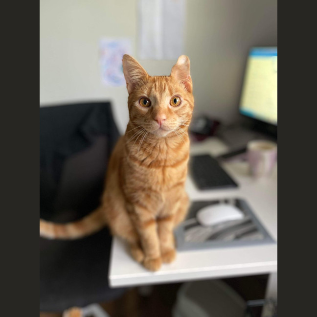 Photo of Ched & Ritz