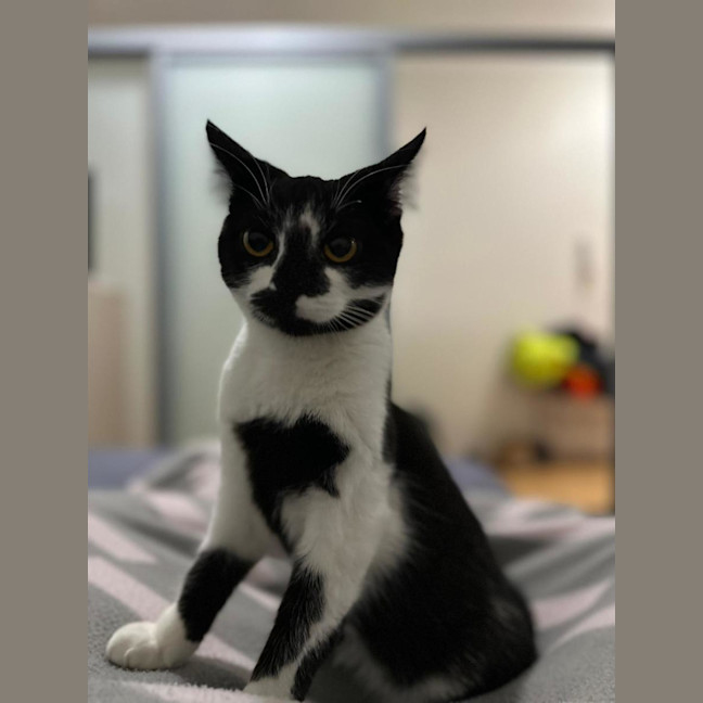 Photo of Bella 