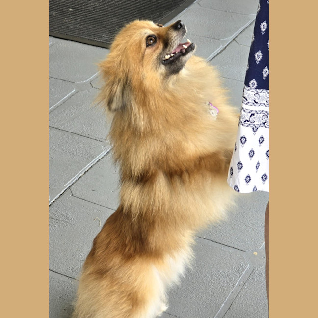 Photo of Coco