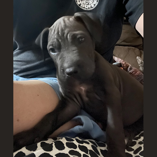 Photo of Lj (Lucille Junior)