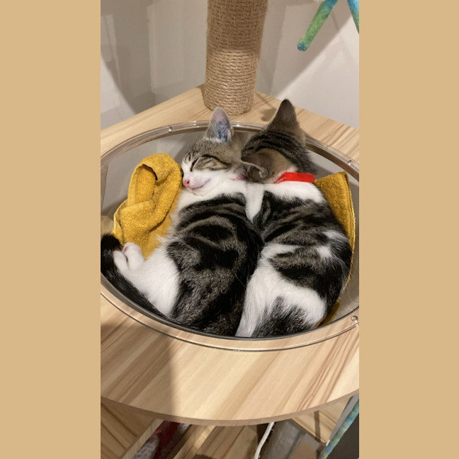 Photo of Elodie