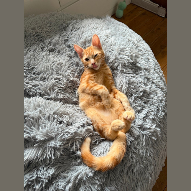 Photo of Rodger