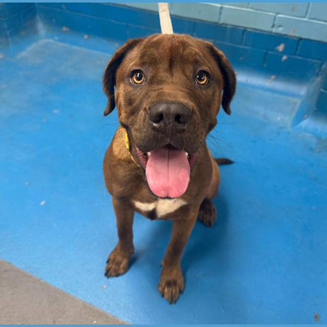 Photo of Ruby