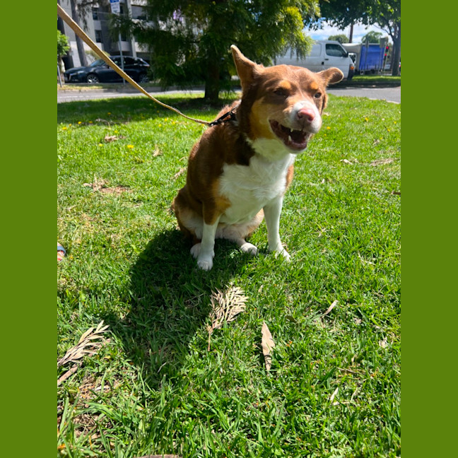 Photo of Sandy