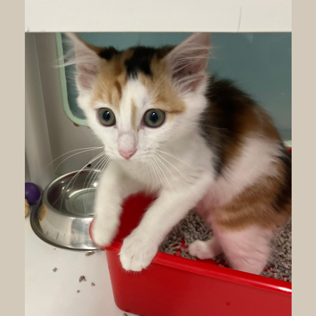 Photo of Penelope