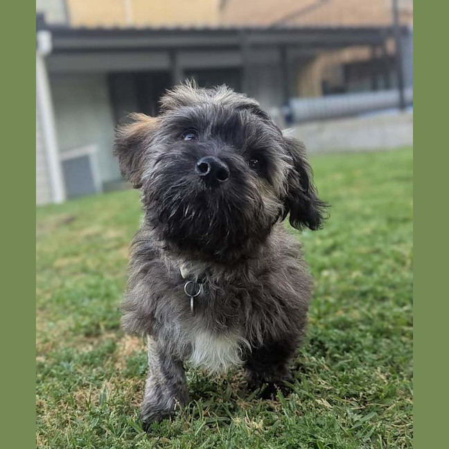 Photo of Flynn