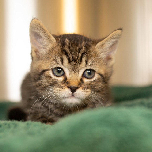 Photo of Ruddy