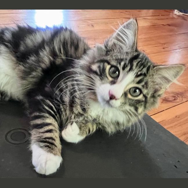 Photo of Jasper