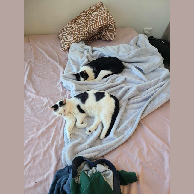 Photo of Maisie & Moo 🐄