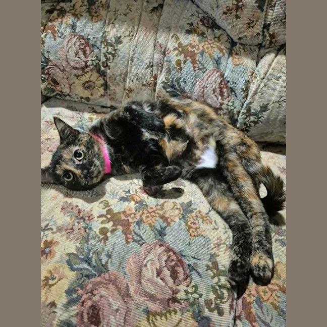 Photo of Sabrina