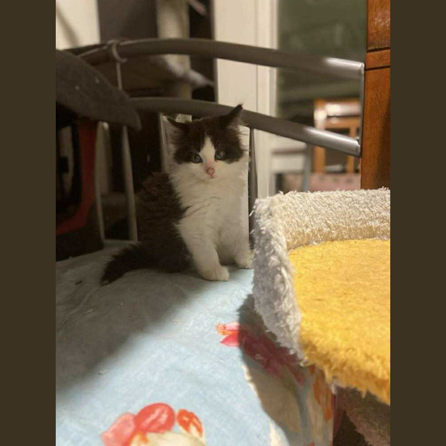 Photo of Jarli