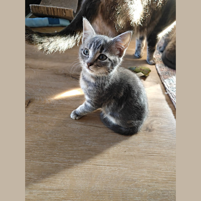 Photo of Minni Mouse