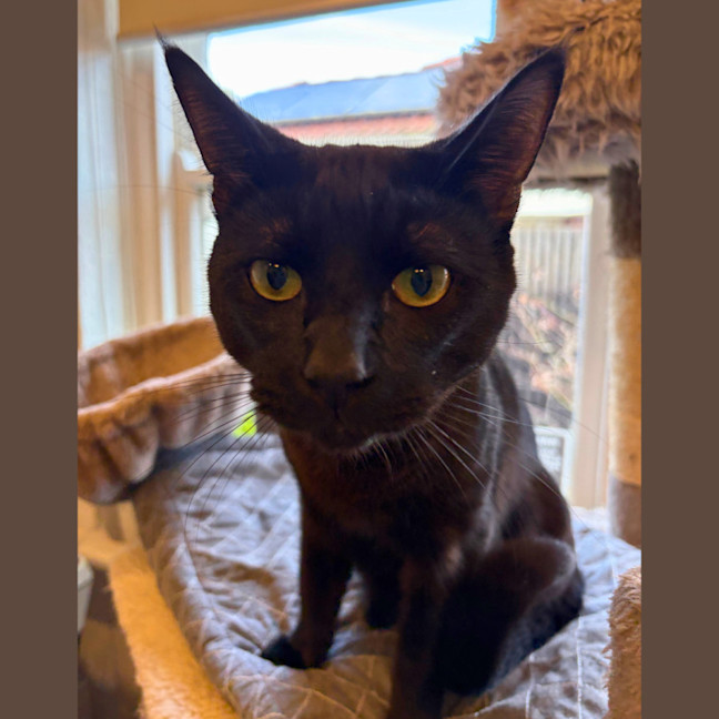 Photo of Lord Luna