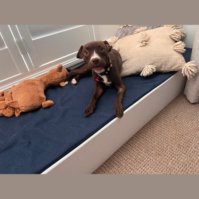 Photo of Peggy