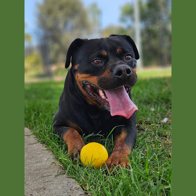 Photo of Cleo