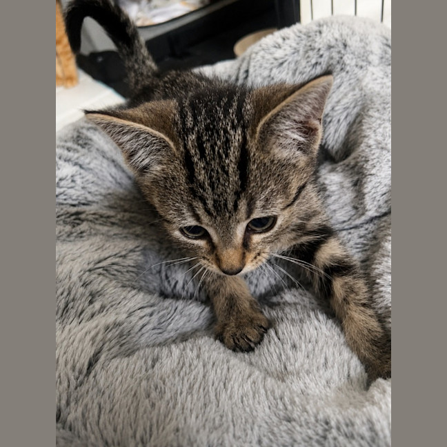 Photo of Boo Boo
