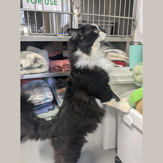 Photo of 🥨 Hamish 7370 🥨