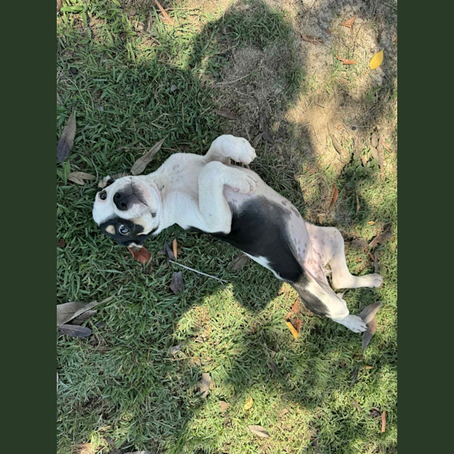 Photo of Novalie (P12)