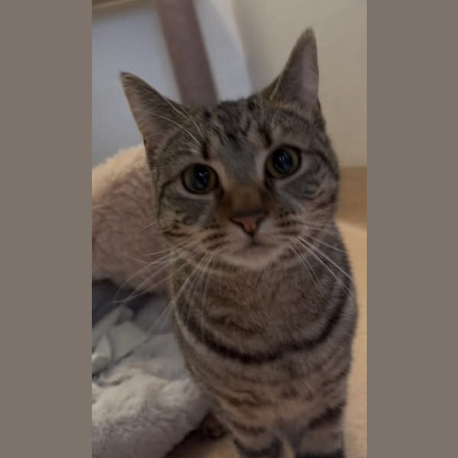 Photo of Penny
