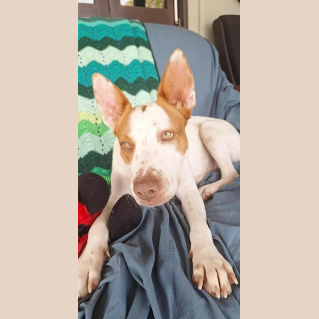 Photo of Adeline