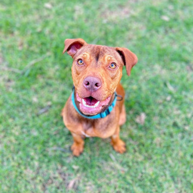 Photo of Tucker