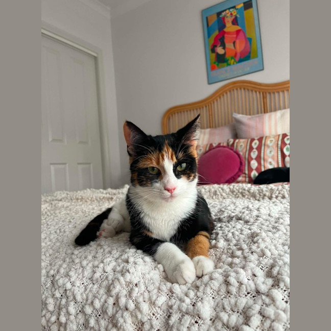 Photo of Katie