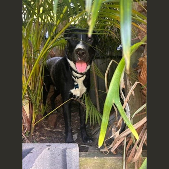 Photo of Bentley