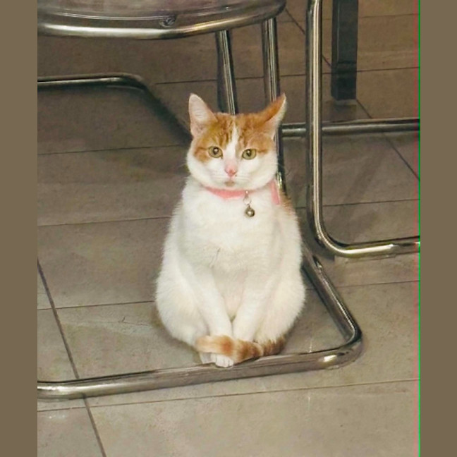 Photo of Miss Cashew Nutz