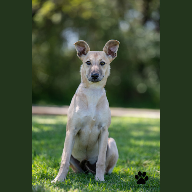 Photo of Winnie
