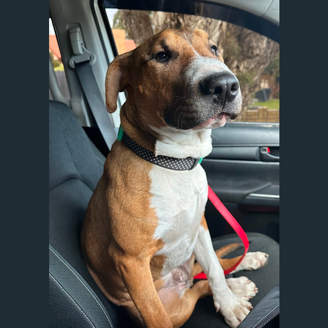 Photo of Billy