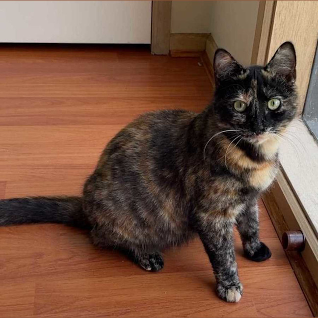 Photo of Ashlie & Lisa