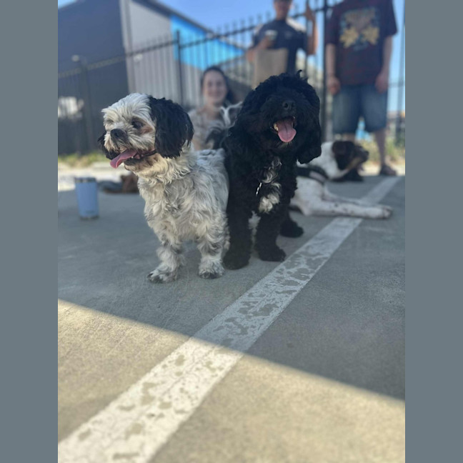 Photo of Layla And Franco