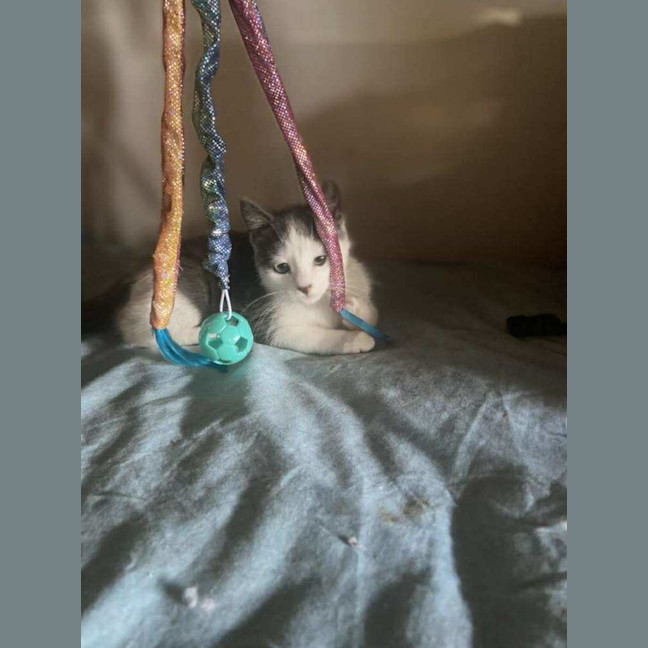 Photo of Hazel