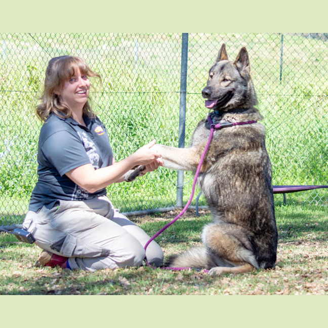 Photo of Kona