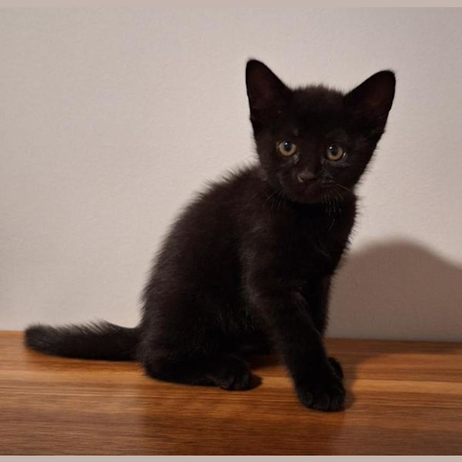 Photo of Mystique