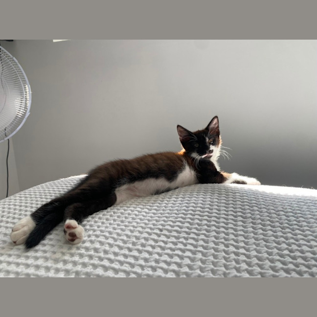 Photo of Sprite