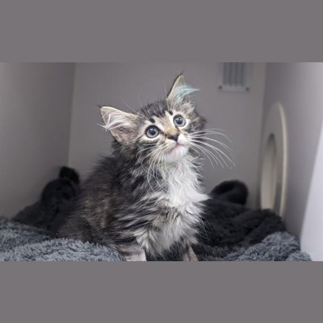Photo of Jemima