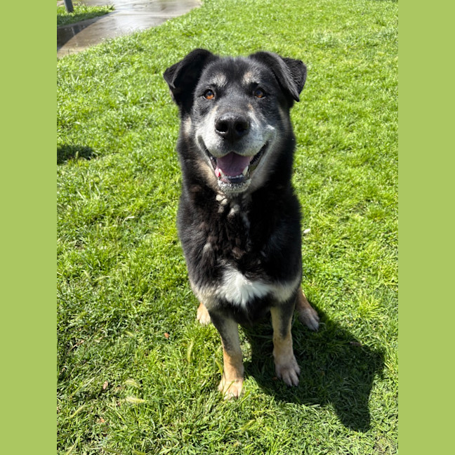 Photo of Zeus 