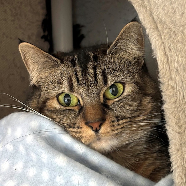 Photo of Maisie Sta013131