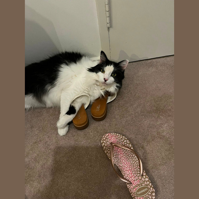 Photo of Barney And Wynstan