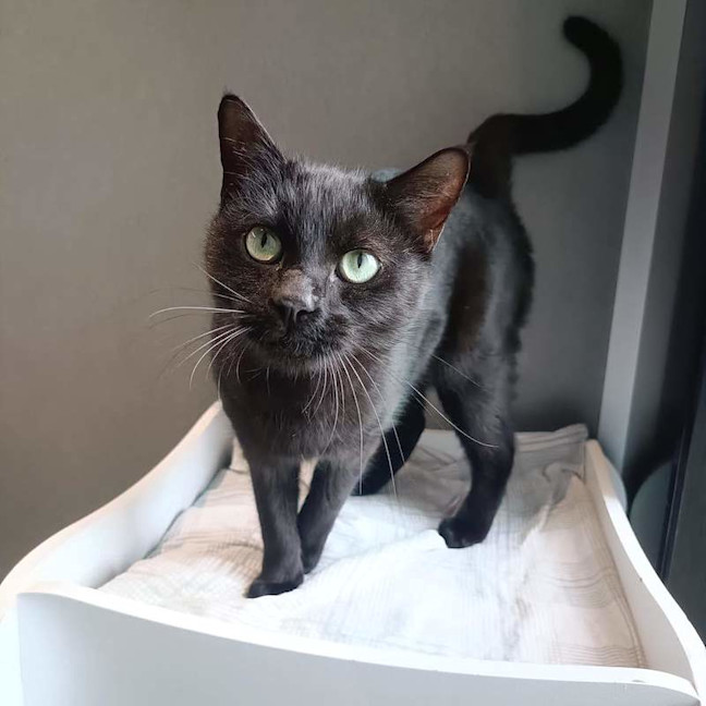 Photo of Tabitha