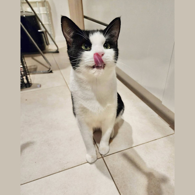 Photo of Oliver