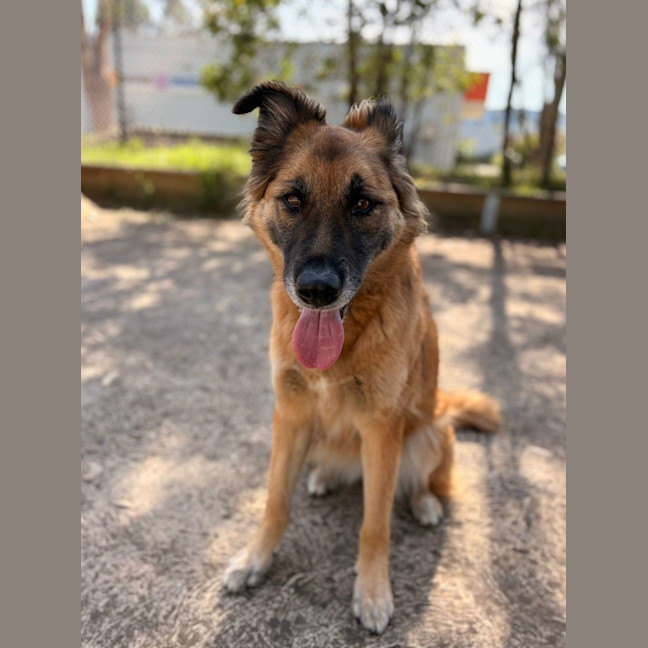 Photo of Bess