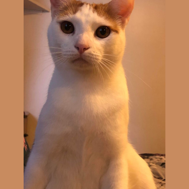 Photo of Jasper