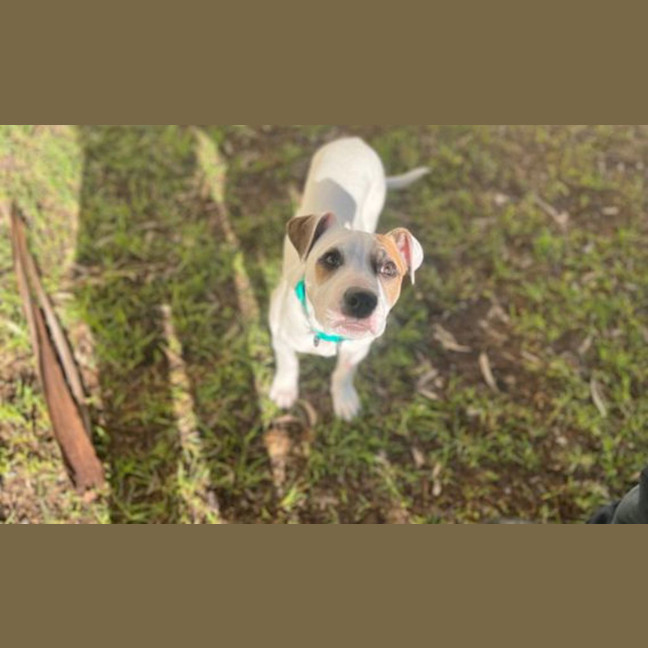 Photo of Monty