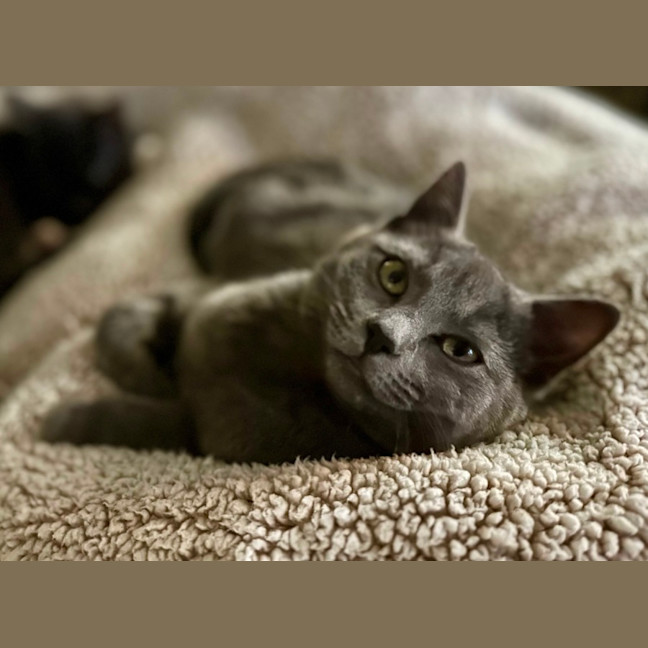 Photo of Hazel And Violet 